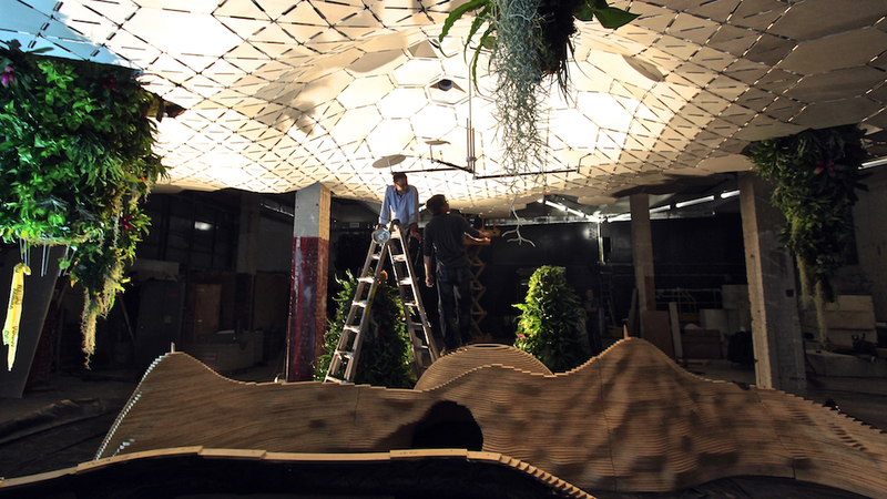 Illustration for article titled The Experimental Jungle Room Where NYC's Underground Park Is Taking RootÂ